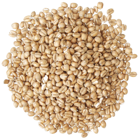 Briess Malting - Torrified Wheat