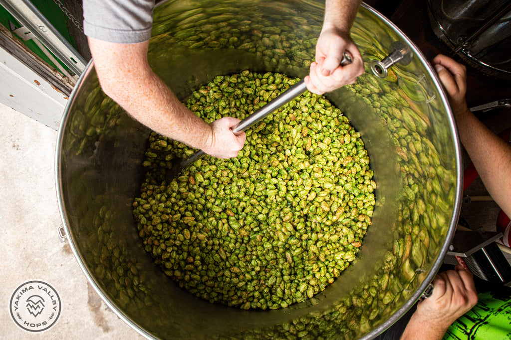 Coming Soon..... Yakima Valley Hops