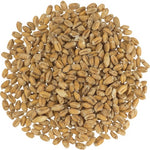 Weyermann® Specialty Malts - German Pale Wheat Malt