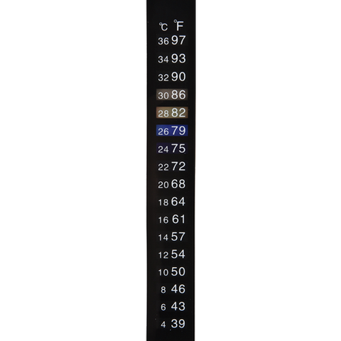 Adhesive Temperature Strip Thermometer