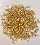 Montana Craft Malt - 2-Row Malt
