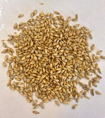 Montana Craft Malt - 2-Row Malt