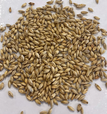 Montana Craft Malt - Munich Light Malt