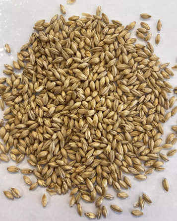 Montana Craft Malt - Vienna Malt