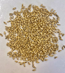 Montana Craft Malt - Pilsner Malt