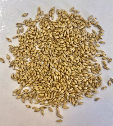 Montana Craft Malt - Pilsner Malt