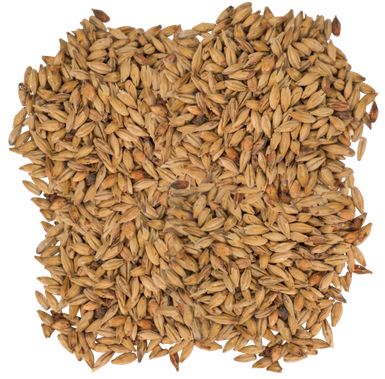 Montana Craft Malt - Melanoidin Gold Malt