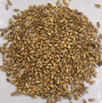 Montana Craft Malt - Cara Ruby Malt