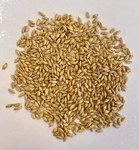 Montana Craft Malt - Dextrin Malt