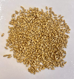 Montana Craft Malt - Dextrin Malt