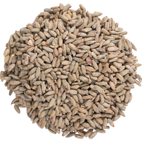 Briess Malting - Malted Rye