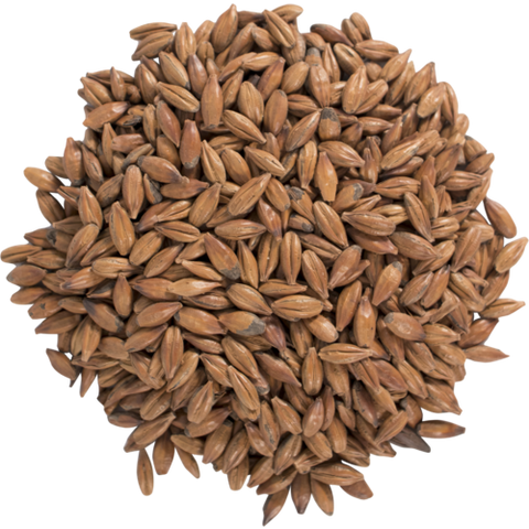 Crisp Malt - English Brown Malt