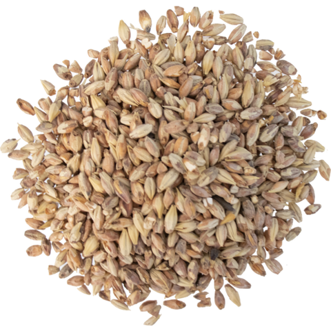 Briess Malting - Bonlander Munich Malt (10L)