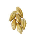 Briess Malting - Caramel/Crystal 20 Malt