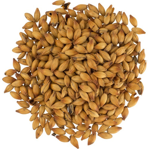 Dingemans Malting - Special B Malt