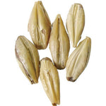 Briess Malting - Victory Malt