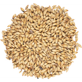Viking Malt - Caramel 150 (60L) Malt