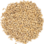 Viking Malt - Pilsner Malt