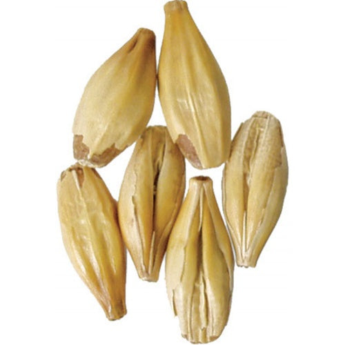 Weyermann® Specialty Malts - Carahell® Malt – Oregonized Brewing