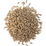 Weyermann® Specialty Malts - German Pilsner Malt