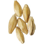 Weyermann® Specialty Malts - Rauch (Smoked) Malt